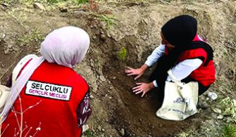 SELÇUKLU EKİYOR KONYA YEŞİLLENİYOR