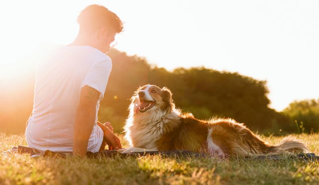 KÖPEKLER SAHİPLERİNE KAVUŞUNCA AĞLIYOR MU?