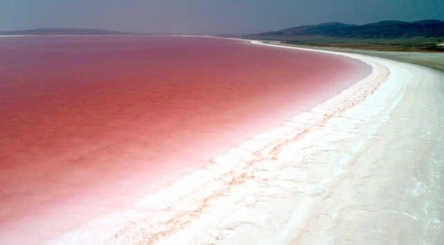 TUZ GÖLÜ PEMBE RENK CÜMBÜŞÜNE DÖNDÜ