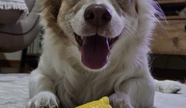 17340782661918248653