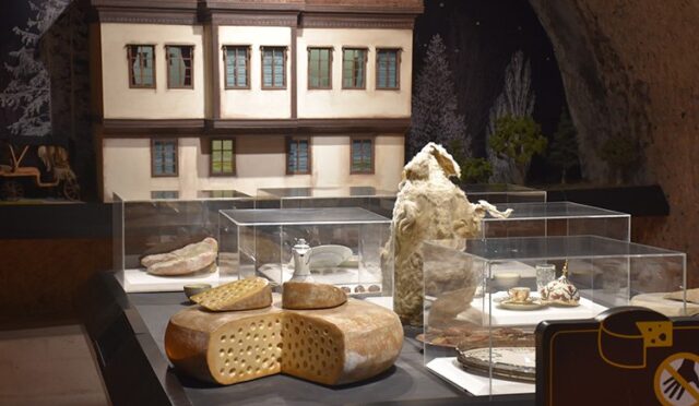 17341674881386987055