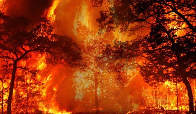 17356291212092346177