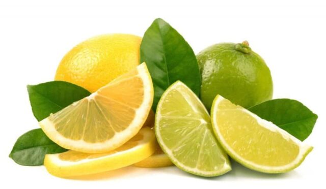 17375331571604355395