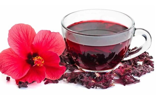 17396073141815899198