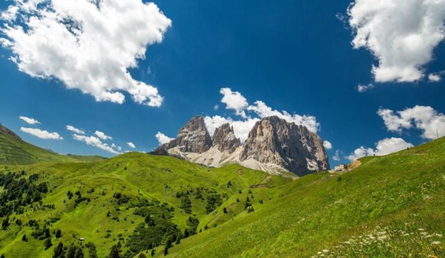 17425549461049604950