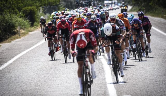 17462605851111183528