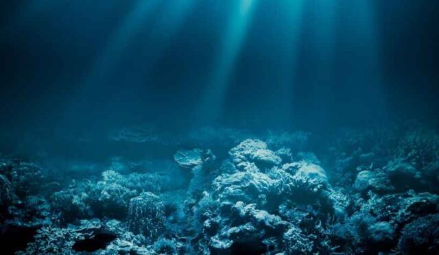 17466890311996534252