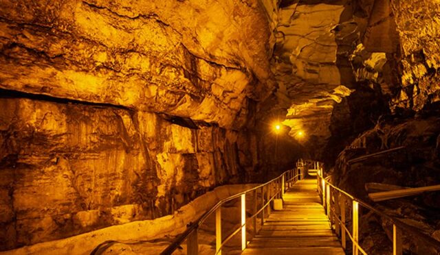 17470448922122246693