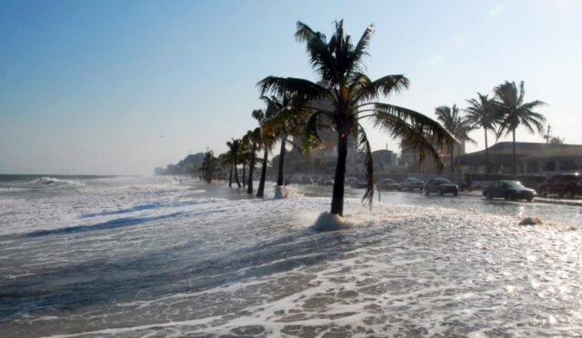 17472211111036592913