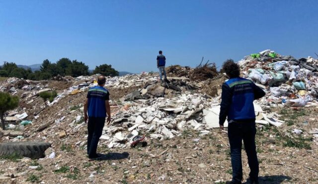 17472931381420383809