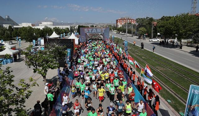 17474701981397218755