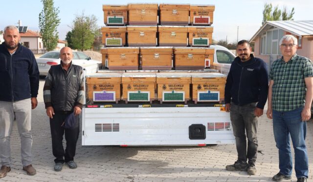 17478170711835044562