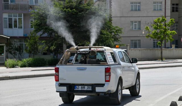 17483278841614555031