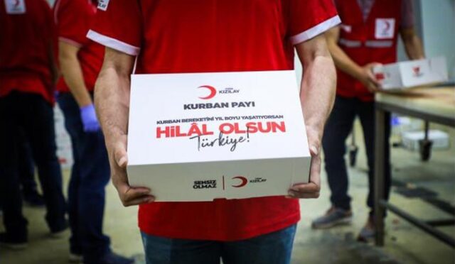 photo_2025-05-10_11-28-20