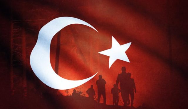 17533416732113291659