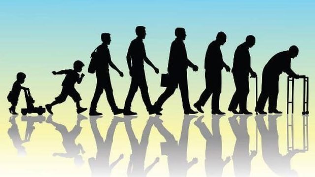 17538605001377496724