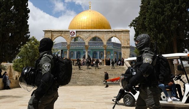 17542928341480091695