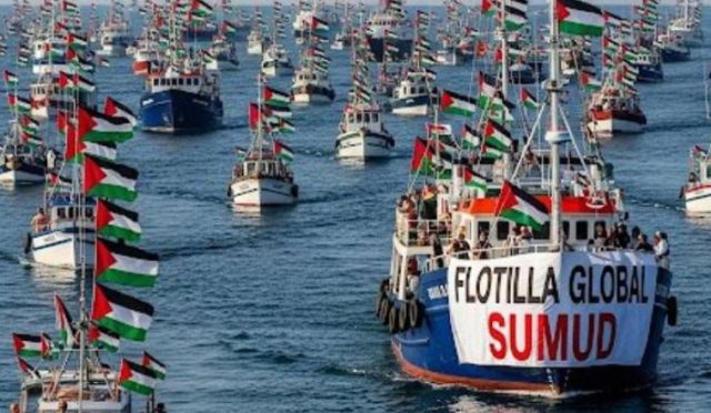 17573172161879284393