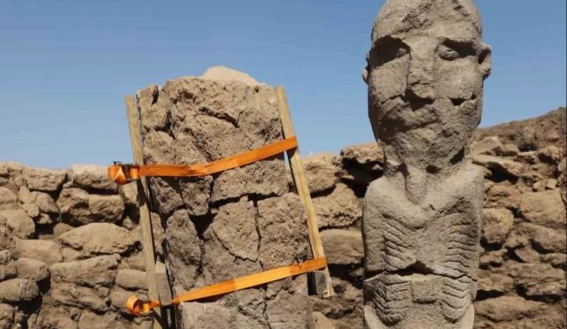 17583700181560808487