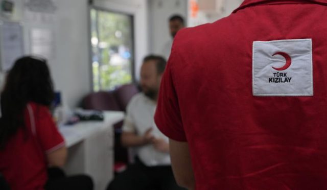 17585291661484785065