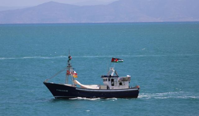 17593906241109663985