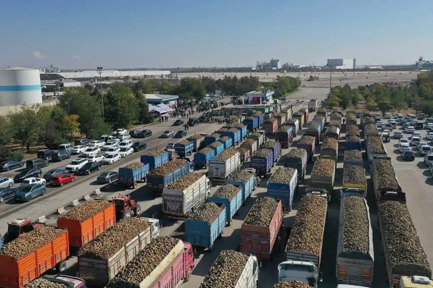 ÇUMRA VE KONYA ŞEKER’DE PANCAR ALIM KAMPANYASI BAŞLADI