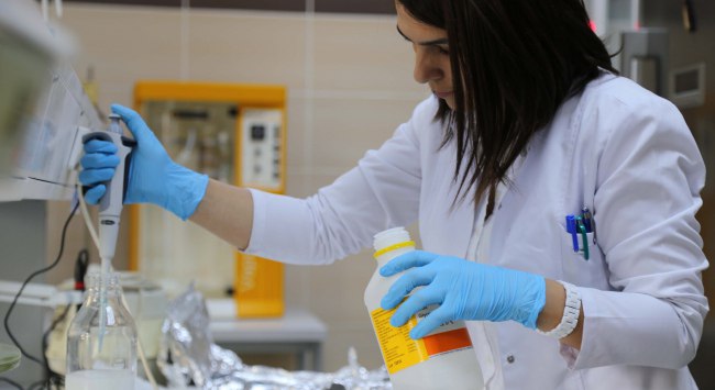 GIDA BOZULMASINI RENKLE GÖSTEREN YERLİ AKILLI AMBALAJ FİLMİ TESCİLLENDİ