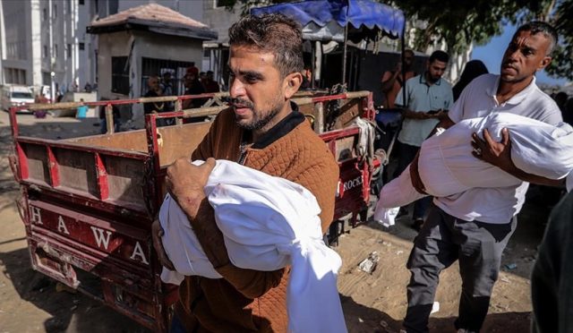 17621669441852155345