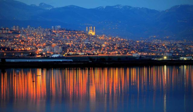 17621674491344283206