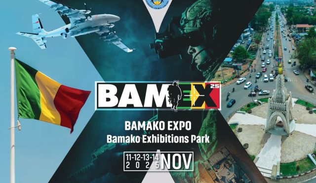 17623383071338895696