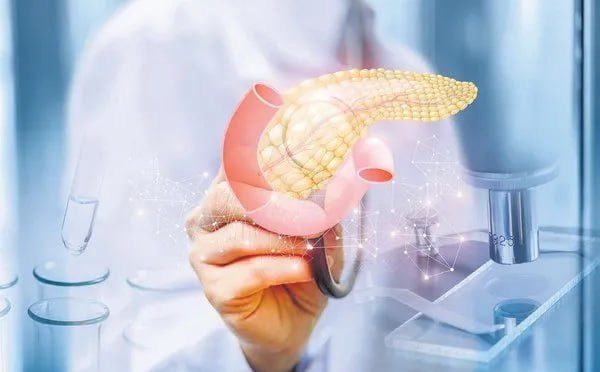 17624327141430845210