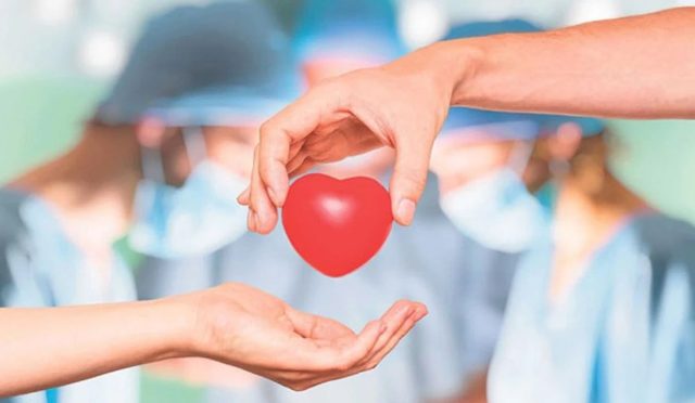 17627660721113932384