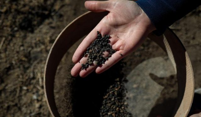 17628571471047646256