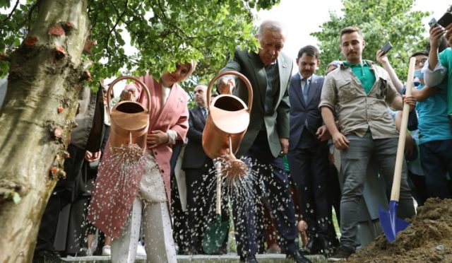 17628642501748618684