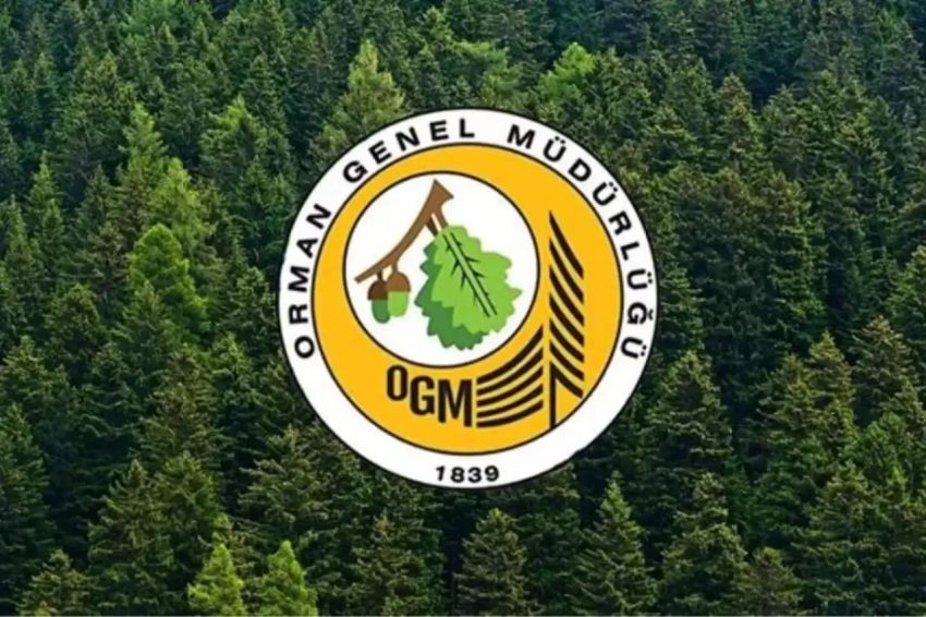 ORMAN GENEL MÜDÜRLÜĞÜ 496 PERSONEL ALIMI YAPACAK