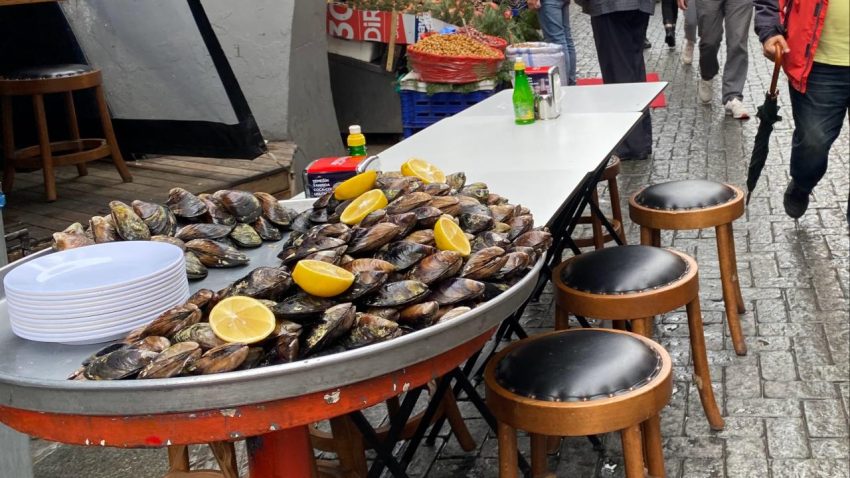 SOKAK LEZZETLERİNE SIKI DENETİM BAŞLIYOR
