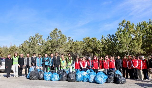 17640534691286341501