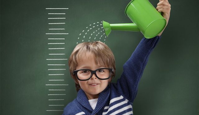 17641449472014685164