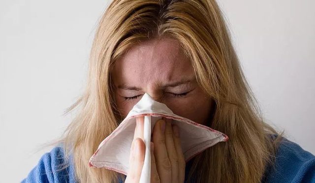 17642385461390469343