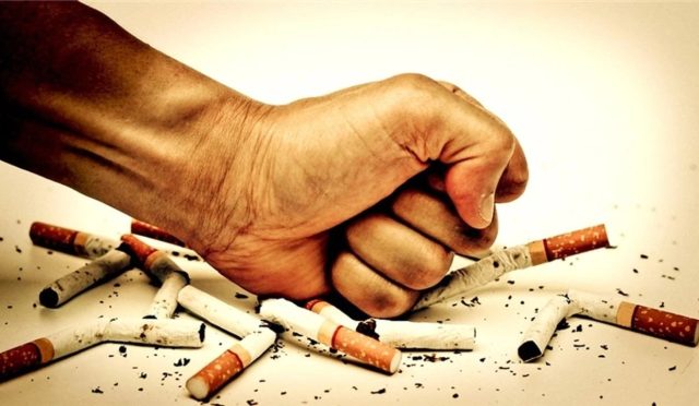 17648322951656377647