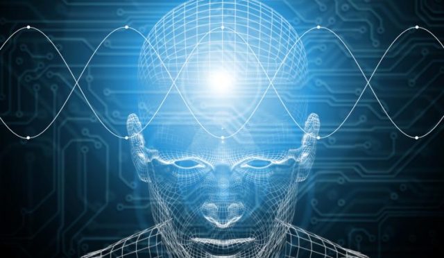 17650102101551861352