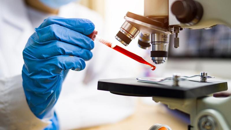 TÜRK BİLİM İNSANLARINDAN SAĞLIKTA DEVRİM: BAKTERİLER KABLOSUZ SİNYAL GÖNDERECEK