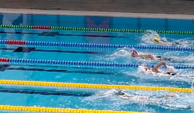 17657874011544237450