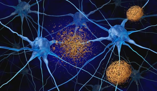 17666504441999331938