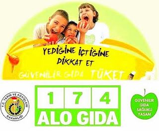 17667449121755915996