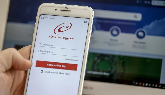 17669994341280925611