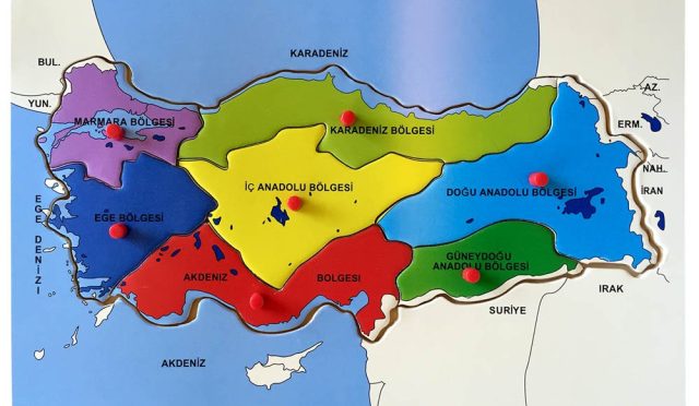 17670845751809726004