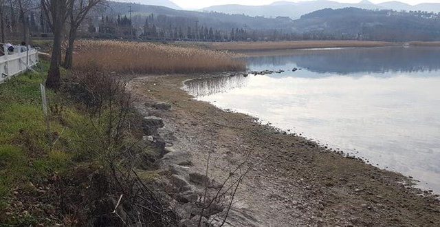 17671715731265287869