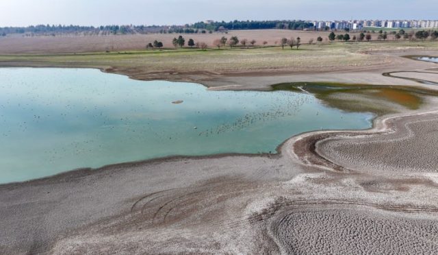 17676085241580429955