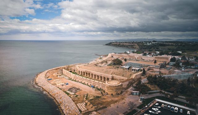 17677002681468639147